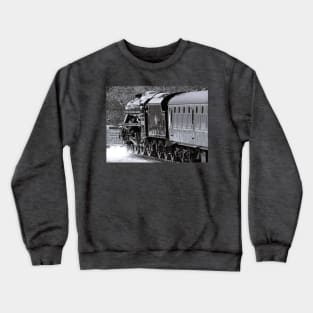 45212 B/W Crewneck Sweatshirt